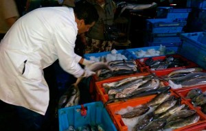 pescado-en-mal-estado-en-Terminal-Pesquero-de-Trujillo