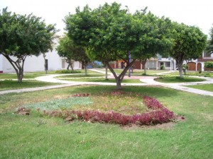 terreno_comercial_en_urb_los_jardines_trujillo_6360127437688606225